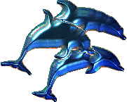 dolphin1.gif